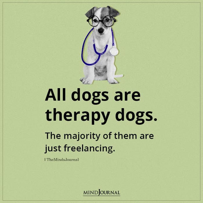 All Dogs Are Therapy Dogs