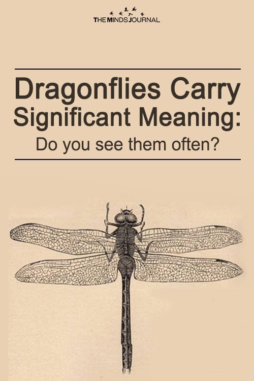 dragonfly meaning