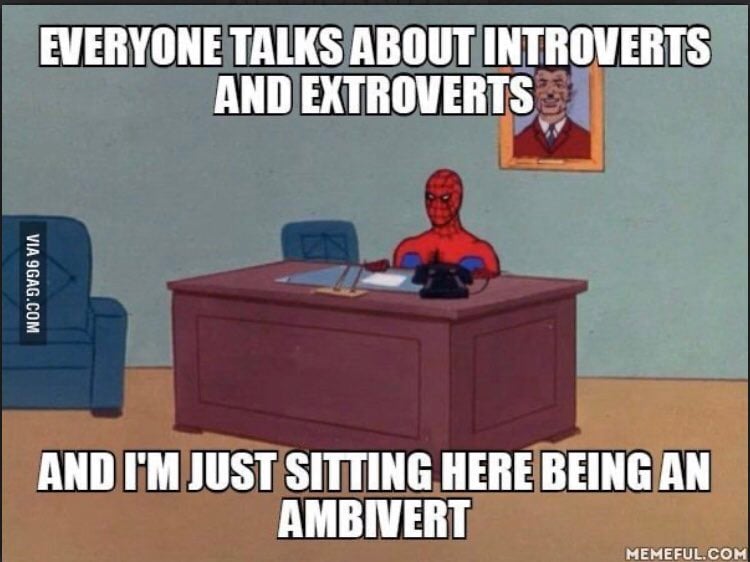 ambivert memes