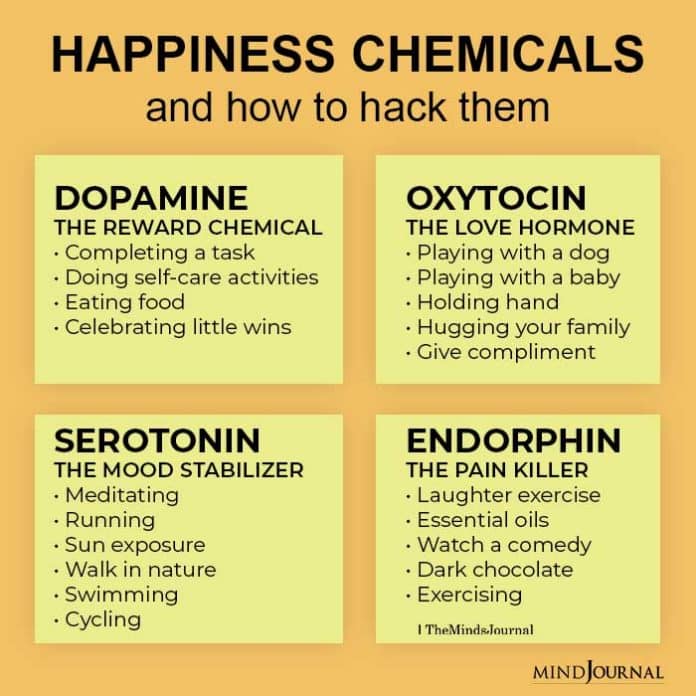 happiness chemicals