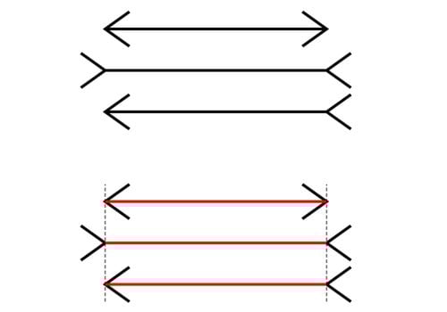 schizophrenia optical illusion