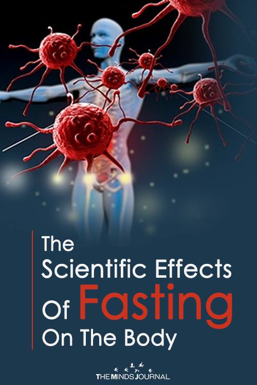 The scientific effects of fasting
