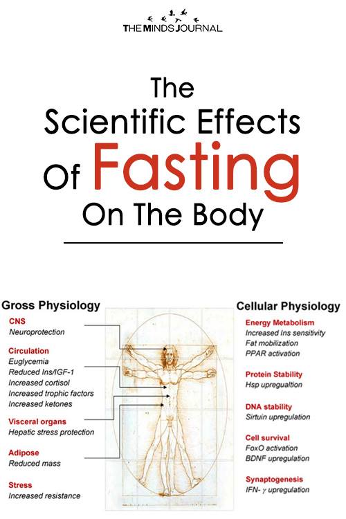 The Scientific Effects Of Fasting On The Body