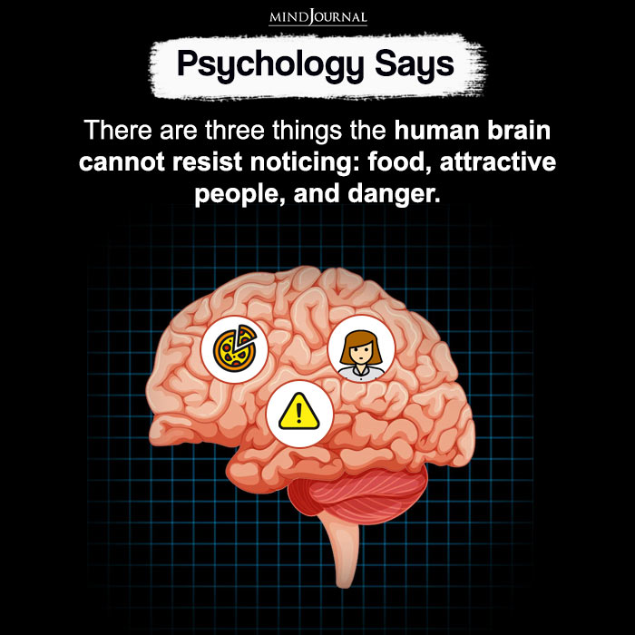 There Are Three Things The Human Brain Cannot Resist Noticing
