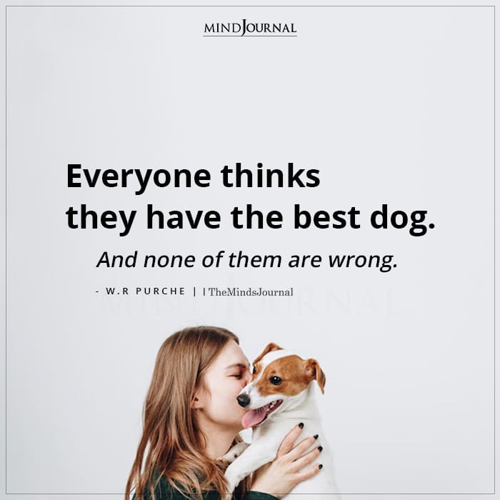 Everyone Thinks They Have The Best Dog