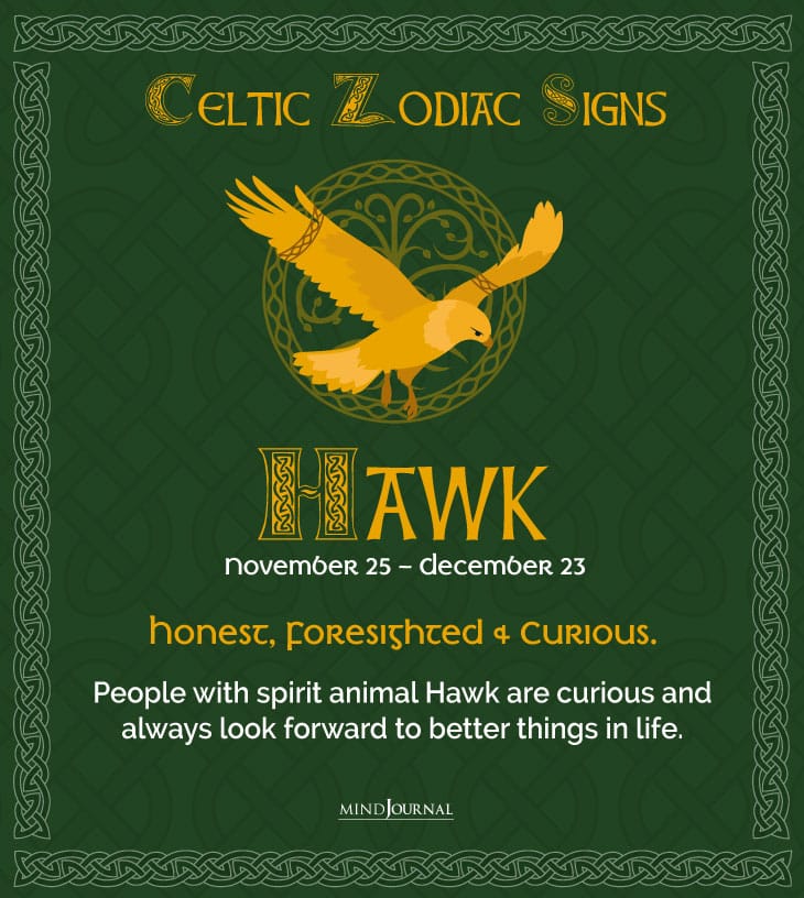 celtichawk