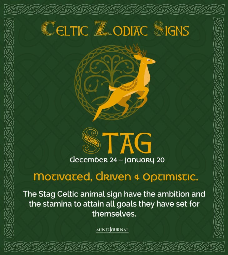celticstag