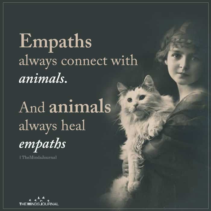 psychic empaths connect with animals