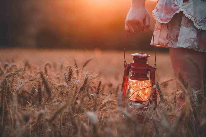 a lamp that symbolizes how to trust your intuition