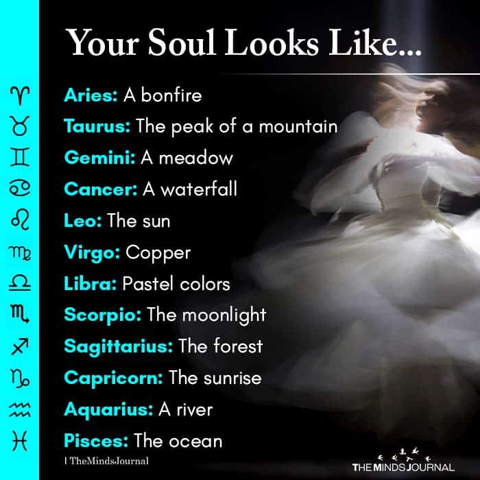 A Sensitive Soul A Heart of Wild