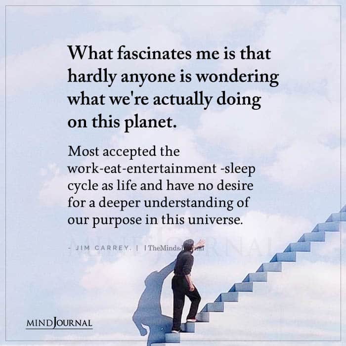 What Fascinates Me