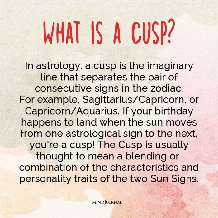 what is a cusp