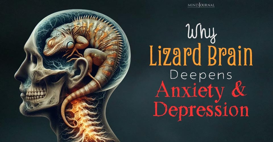 Social Cognitive Network: Linking Anxiety to the 'Lizard Brain'