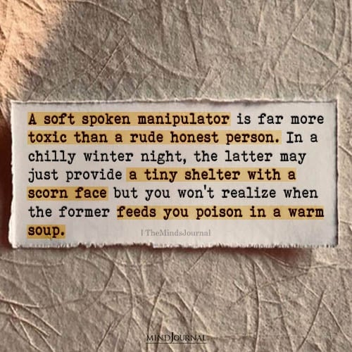 Anatomy of a manipulator