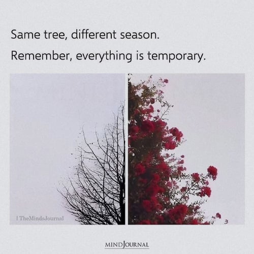 Everything Is Temporary - Life Quotes