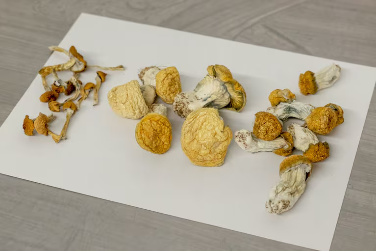 3 Amigos Is The Top Spot For Buying Magic Mushrooms