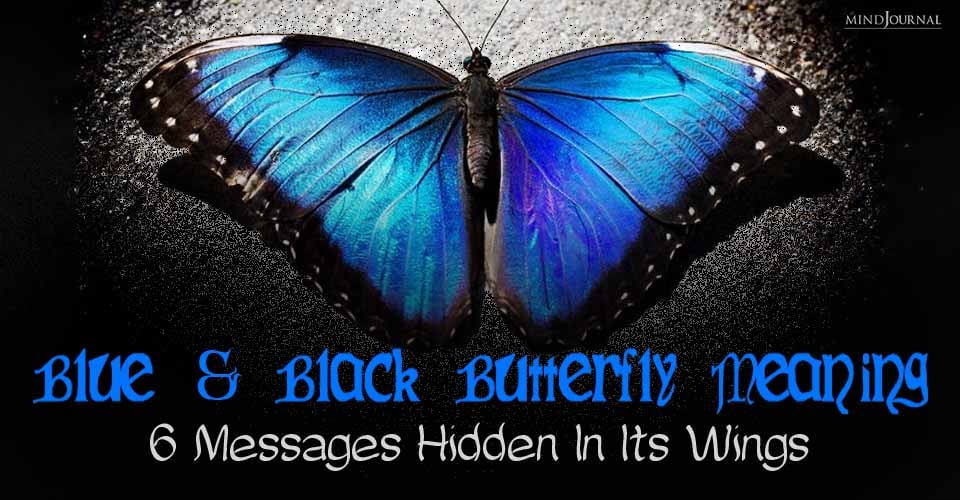 Blue and Black Butterfly Meaning: 6 Deep Spiritual Symbolism