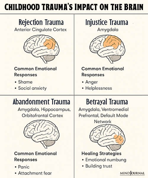 how does childhood trauma affect the brain in adulthood