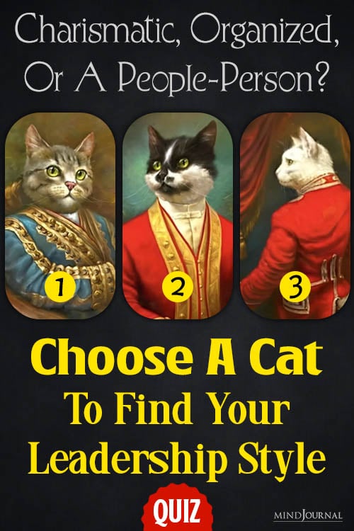 cat personality test