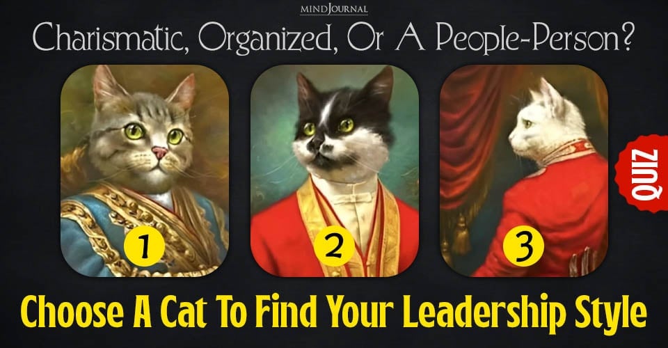 Choose A Cat To Find Your Leadership Style: 3 Fun Results
