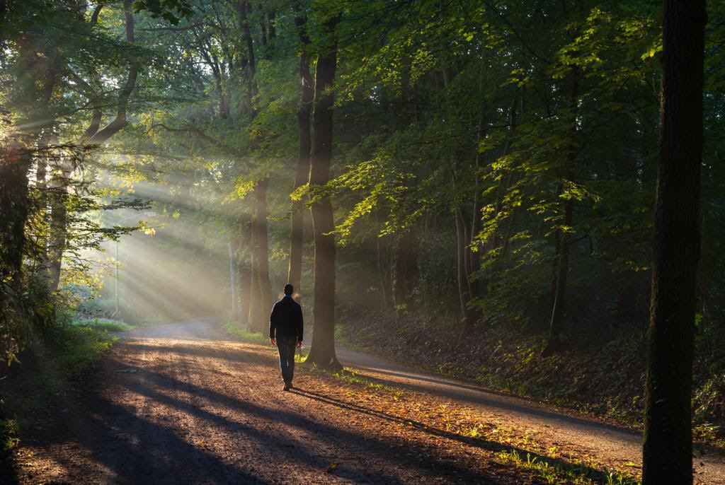 The Art Of Getting Lost