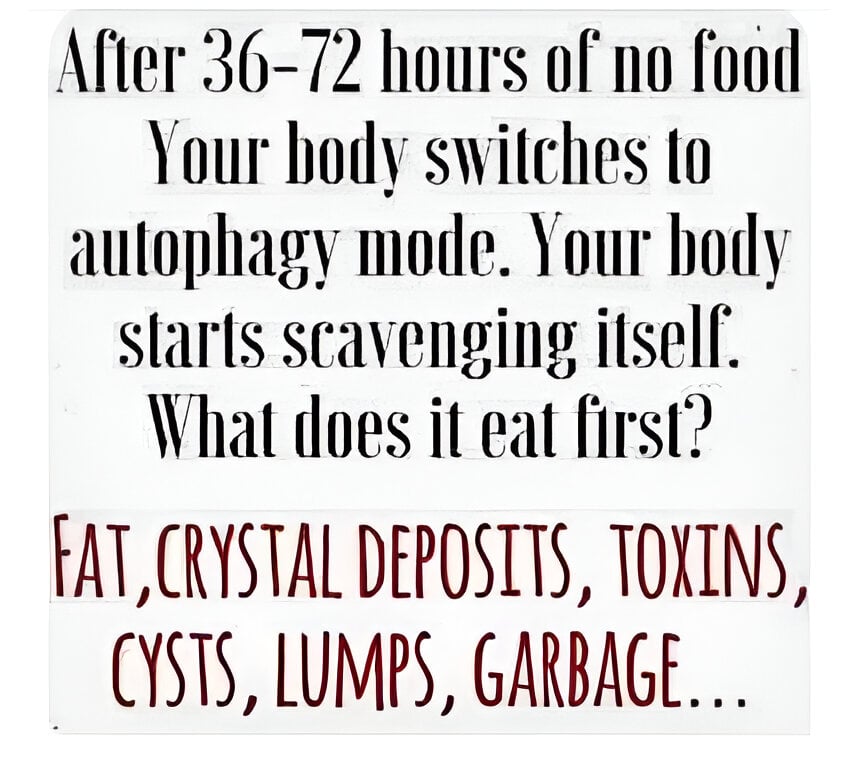 Autophagy Fasting Benefits
