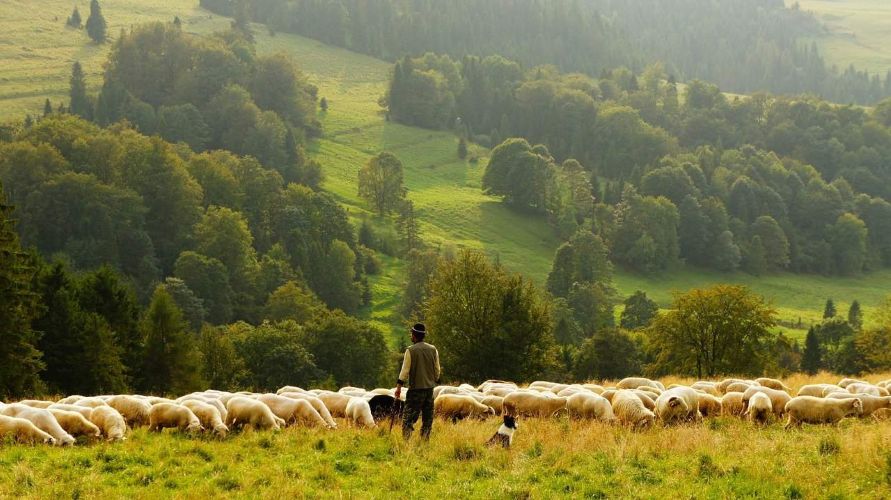 Rural Living